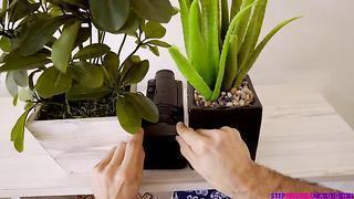 (Kyler Quinn, Jake Adams) Sister Caught On Camera (2019) - Step Siblings Caught