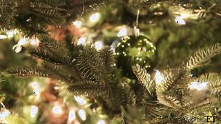 My Step Sisters Are Mean Girls (2019) with Gianna Dior, Lacy Lennon, Mackenzie Moss & Sabina Rouge - Nubiles ET