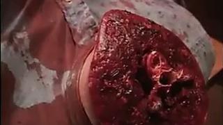 Perverted Stories 28 (2000) JM Productions Full XXX Retro