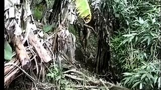 Perverted Stories 4: Intense Perversion (1995) - JM Productions Full XXX Retro