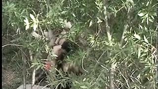 Perverted Stories 5: Explore the Fantasy (1995) - JM Productions Full XXX Retro