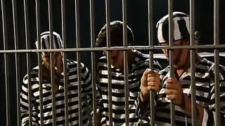 Film Buff (1994) - Wicked Pictures Full Retro XXX