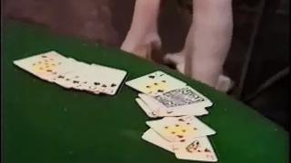 Tailspin 3 (1992) - Video Team Full XXX Us Retro